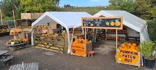 Christmas Tree Hut - Noahs Ark Farm Shop