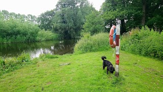 Ringland River Green