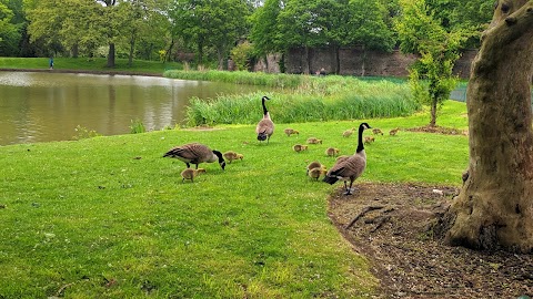 Newsham Park And Garden