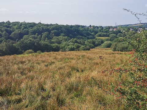 Stalybridge Country Park