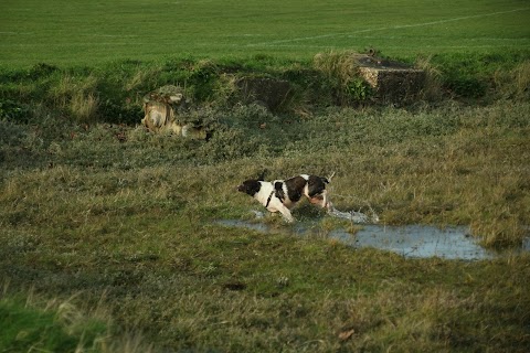 Gosport Park