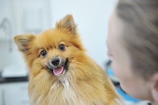 Borras Park Veterinary Centre