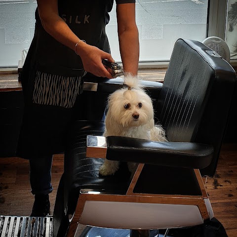 Silk Barber Shop