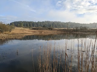 Priddy Pools