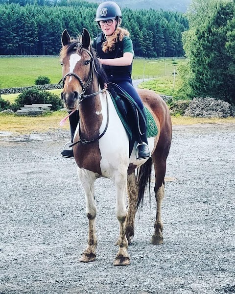 Gamekeepers Lodge Equestrian Centre