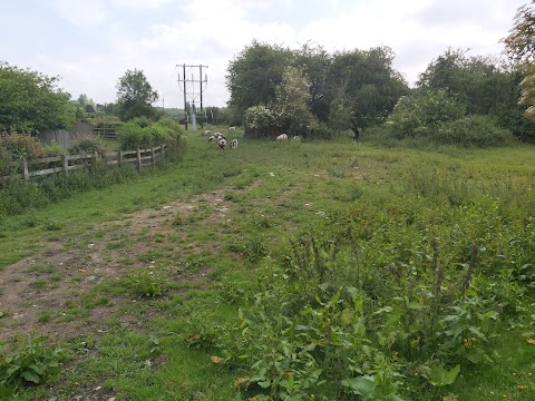 RSPB Fairburn Ings