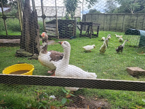 Southampton City Farm