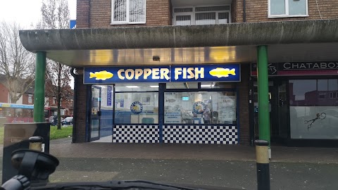 Copper Fish