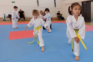 TIGERS TAEKWONDO ACADEMY