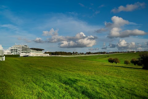 Holiday Inn Express London - Epsom Downs, an IHG Hotel