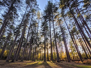 Black Park Country Park