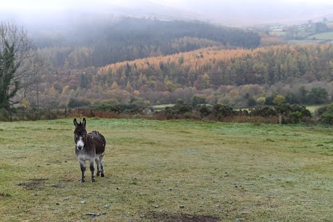 Tullyree Road Lay-by