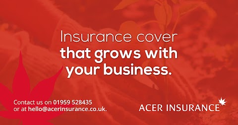 Acer Insurance Services