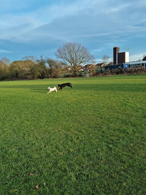 Bruntwood Park