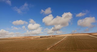 Rathfinny Wine Estate - Tasting Room