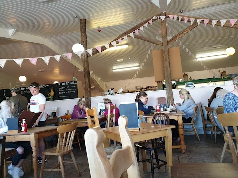 Albion Farm Shop & Cafe