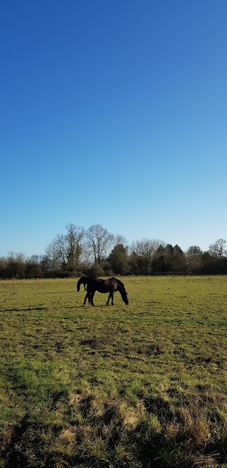 The Hurst Water Meadow Trust