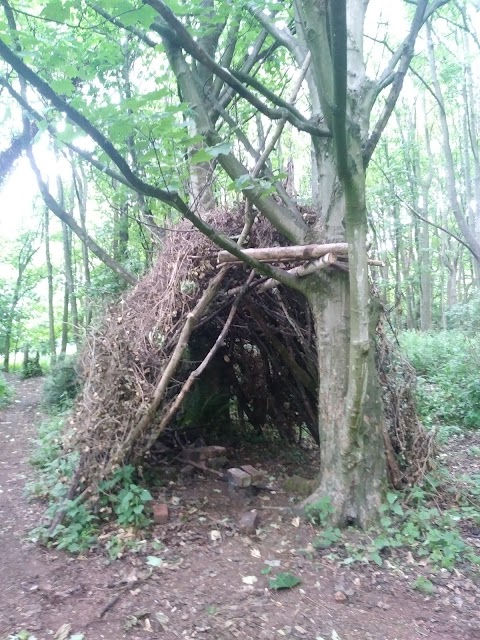 Entrance To Corstorphine Hill