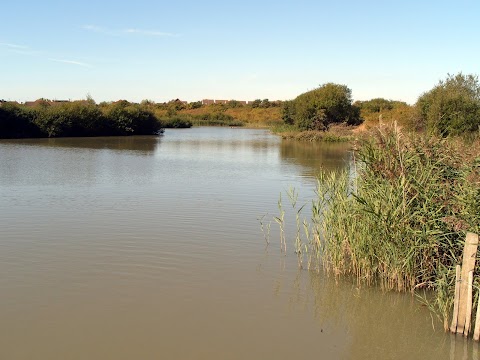 Alver Valley Country Park