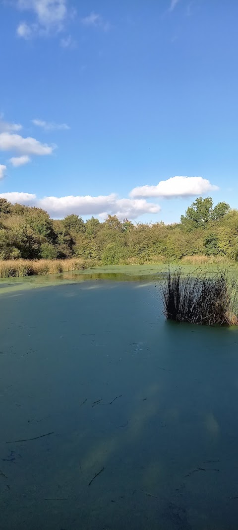 Essington Pools