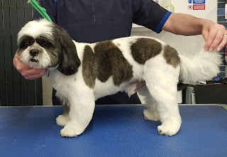 Chesters Dog Grooming