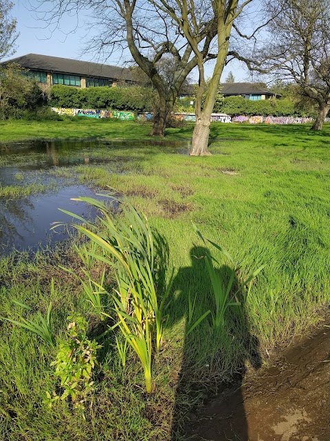 Ainslie Recreation Ground