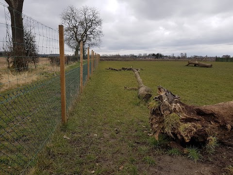 Run Free Dog Fields - Inchinnan