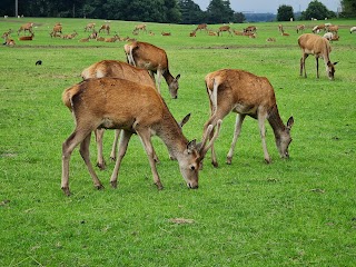 Tatton Park, Knutsford entrance