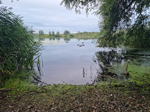 Willen Lake