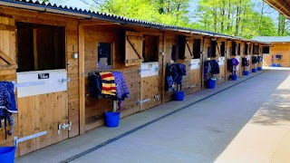 Middleton Livery Yard and Riding Tuition