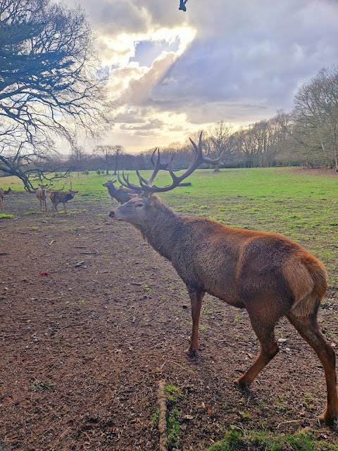 Essex Wildlife Trust, Bedfords Park Nature Discovery Centre