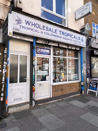 Wholesale Tropicals UK