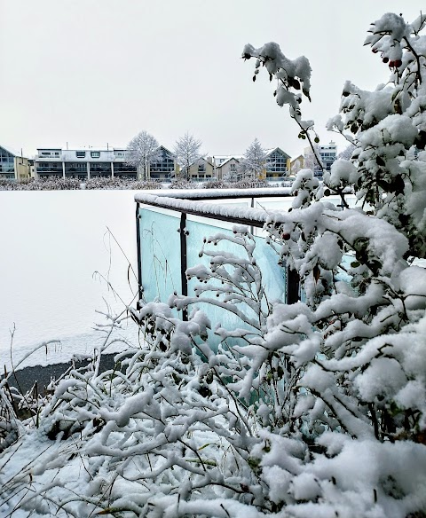 Howells Mere Lake