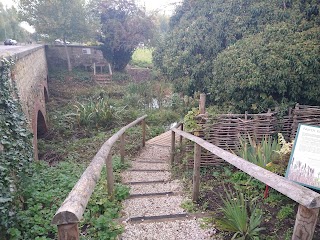 North End Wildlife Pond