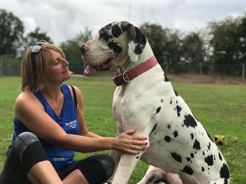 Brookfields Boarding and Canine Care Centre