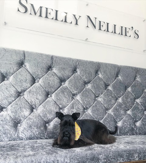 Smelly Nellie's Dog Grooming Boutique