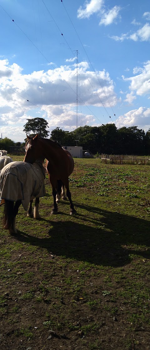 South Pasture Stables