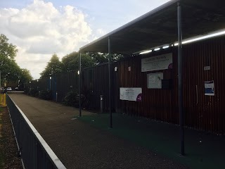 Lavender Nursery