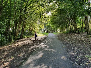 Ward River Valley Park