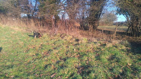 Hoe Road Memorial Meadow