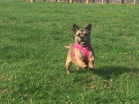 Severn Veterinary Centre, Alcester