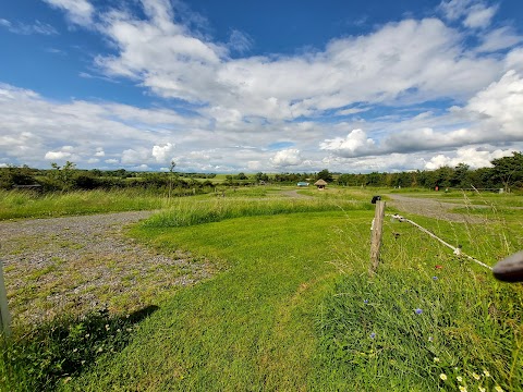 Ettie's Field