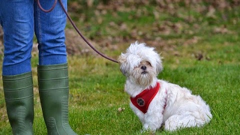 Breeny Boarding & Quarantine Kennels