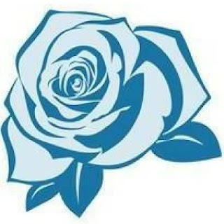 Blue Rose Cleaning services Ltd