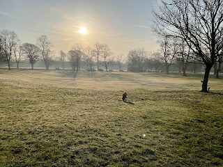 Pelsall Common