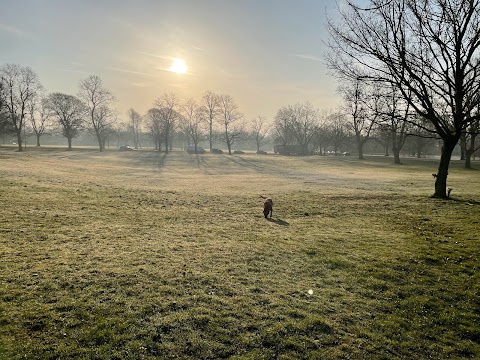 Pelsall Common