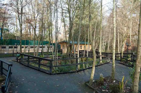 Loch Lomond Bird of Prey Centre