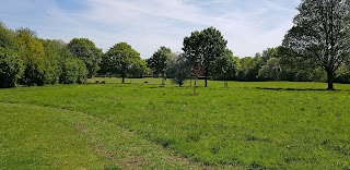 Newton-le-Willows Primary School