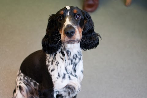 Cedarmount Veterinary Clinic