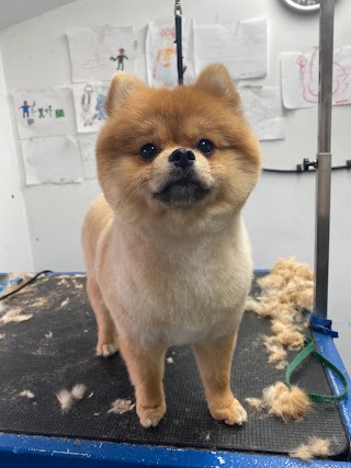 Danny's Dog Grooming